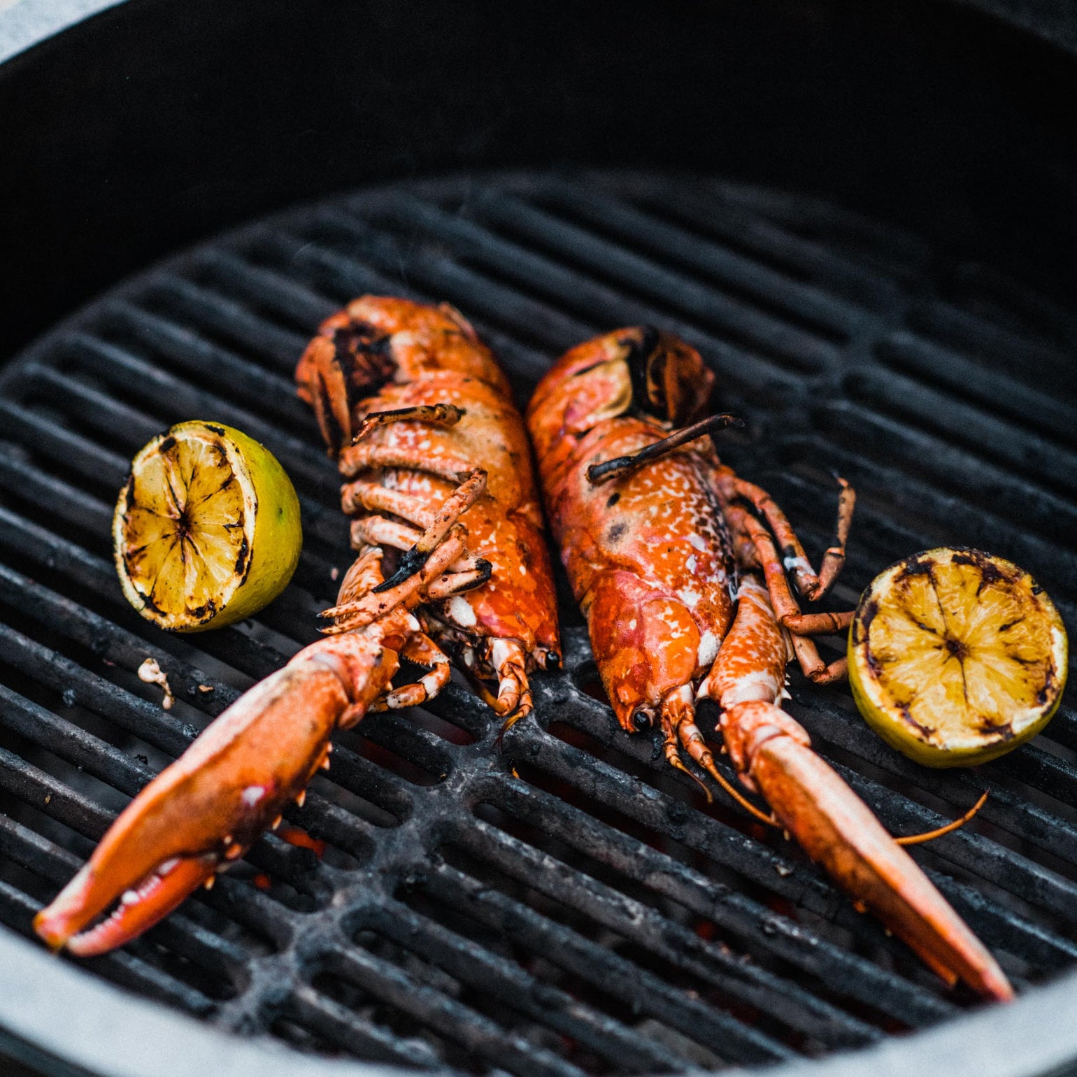 products/BigGreenEgg-56.jpg
